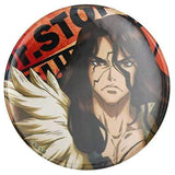 Badge Dr Stone Badge Ishigami Senku Taiju Oki Yuzuriha Ogawa Tsukasa Shishio Metal Badge pins