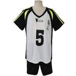 Haikyuu Costume de Cosplay Styles, uniforme de maillots de sport du Club de volley-ball, Karasuno Hinata Shyouyou pour lycée