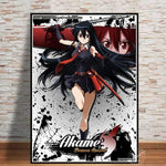 Poster Akame Ga KILL affiche manga goodies décor