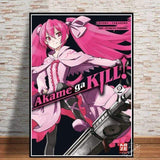 Poster Akame Ga KILL affiche manga goodies décor